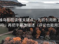 蜂鸟影院读懂关键点：先抓引用断了吗，再把字幕改描述（评论也能用）