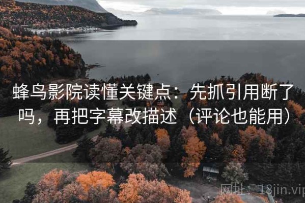 蜂鸟影院读懂关键点：先抓引用断了吗，再把字幕改描述（评论也能用）