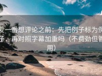 爱一番想评论之前：先把例子标为例子，再对照字幕加重吗（不费劲但管用）
