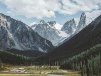 虫虫漫画想转发前：先核对条件有没有缺，再把单位补到图旁（写作也能用）