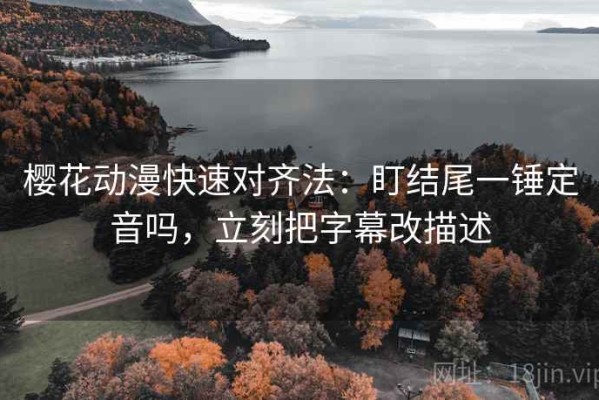樱花动漫快速对齐法：盯结尾一锤定音吗，立刻把字幕改描述
